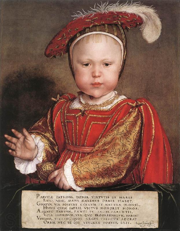 HOLBEIN, Hans the Younger Portrait of Edward, Prince of Wales sg Norge oil painting art